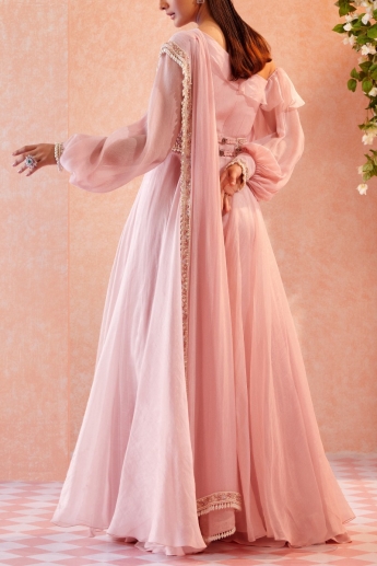 Light Pink Saree Gown